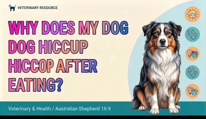 Does My Dog Hiccup After Eating