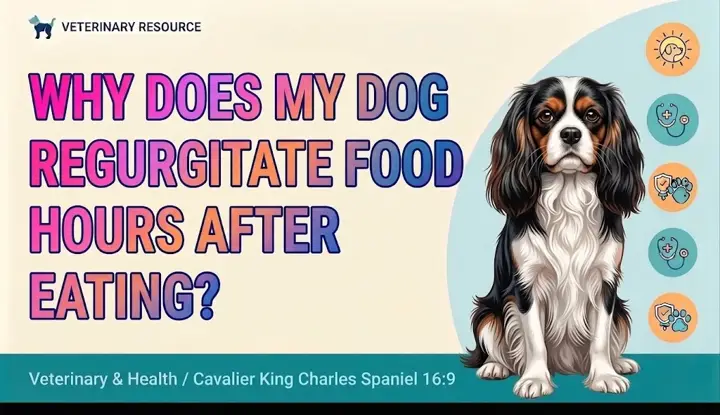 Does My Dog Regurgitate Food Hours After Eating