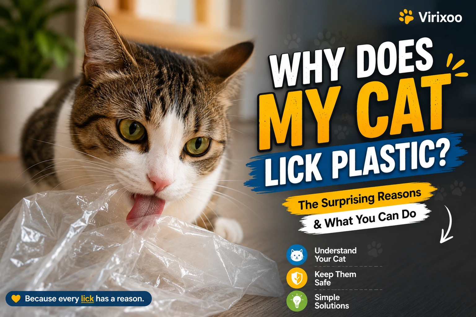 Cat sniffing a clean plastic bag while an owner keeps it out of reach