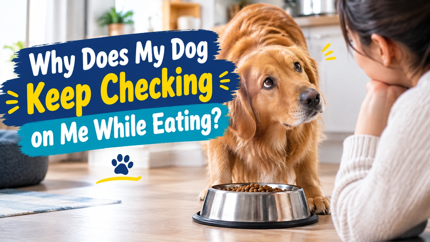 Does My Dog Keep Checking on Me While Eating while an owner observes the dog calmly for relevant changes