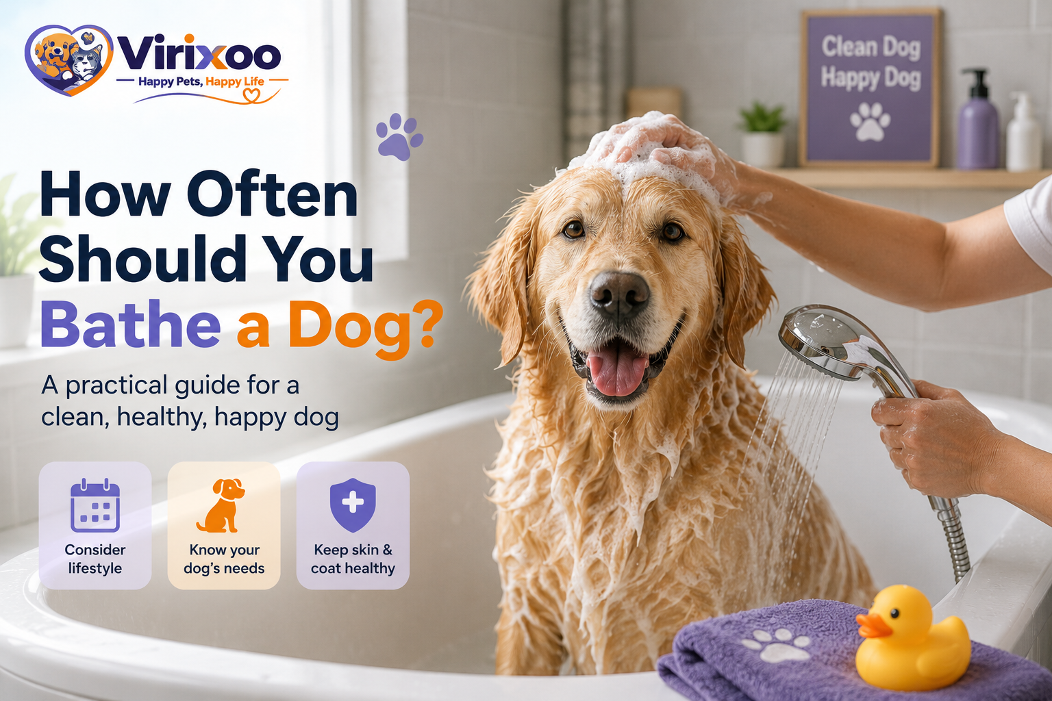 Dog care guides