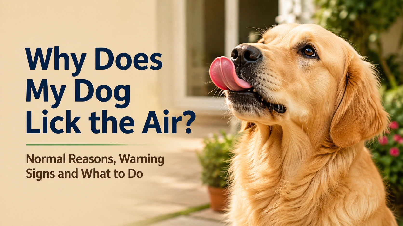 Dog briefly licking the air while its owner calmly observes the behavior at home