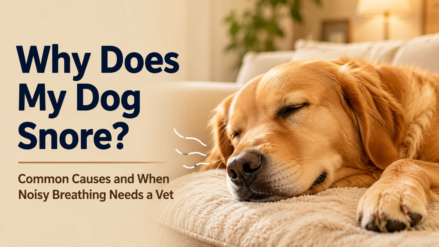 Sleeping dog resting comfortably while an owner listens to gentle snoring