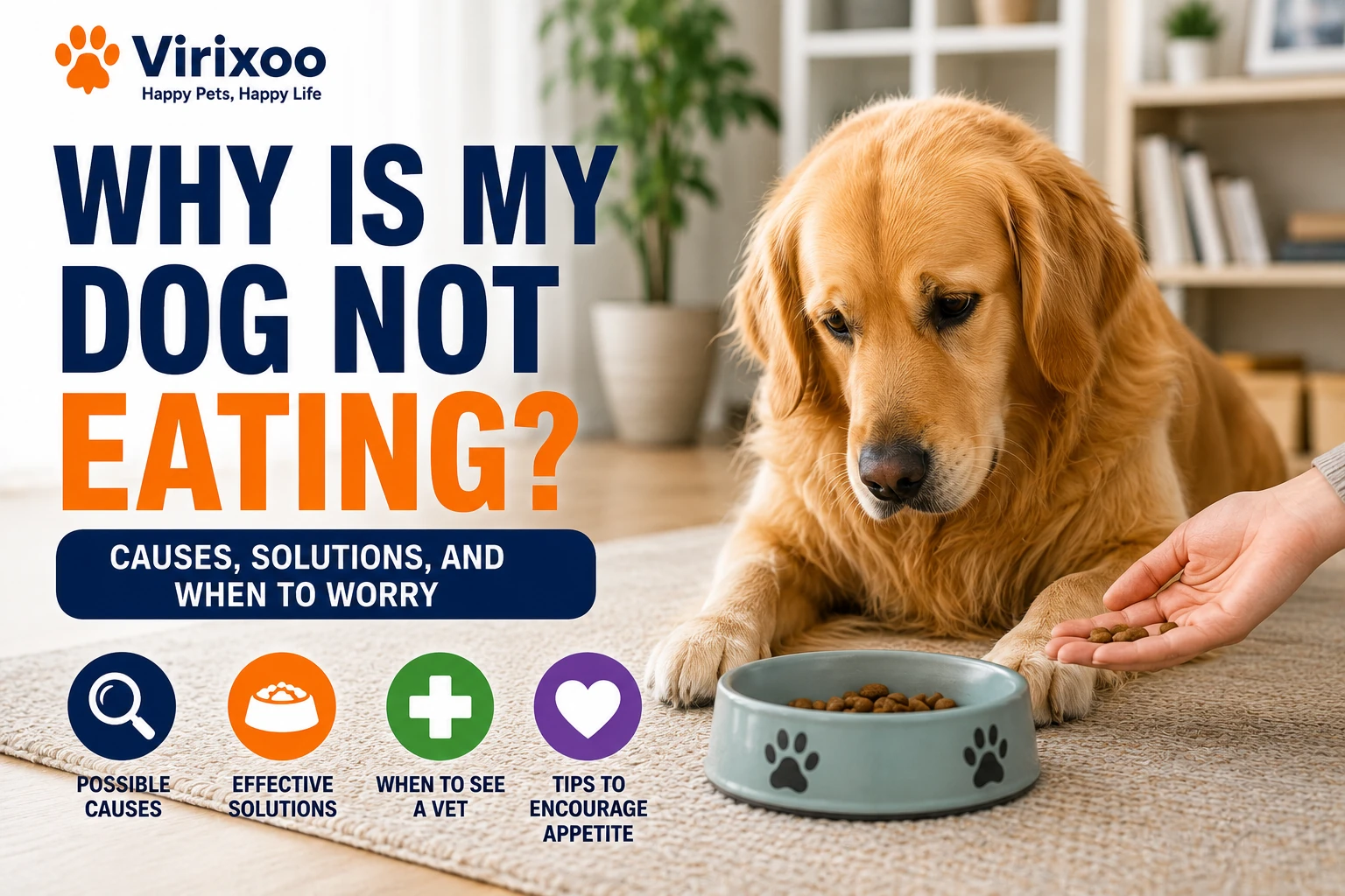 Dog sitting beside a full food bowl while owner observes