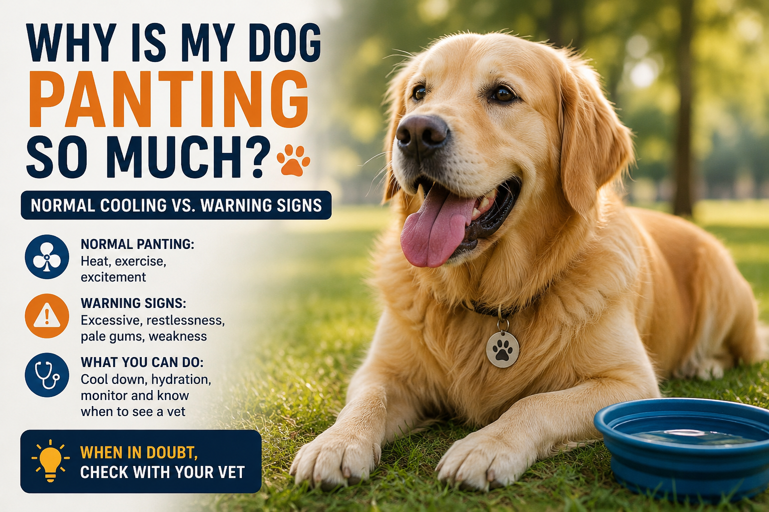 Dog panting lightly while resting in a cool shaded room